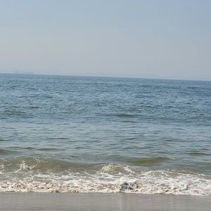 Meet your Posher, Lillian